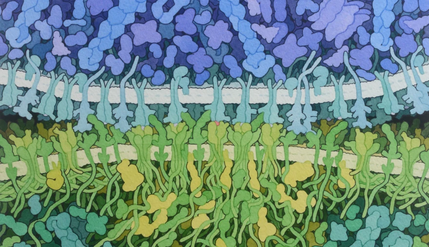 De Schoonheid van Moleculaire Landschappen