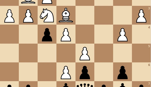 Hoe Spelers en Wiskundigen in Leiden Naar Schaak Kijken
