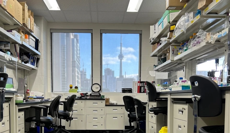 Toronto Times 3 – Hoog