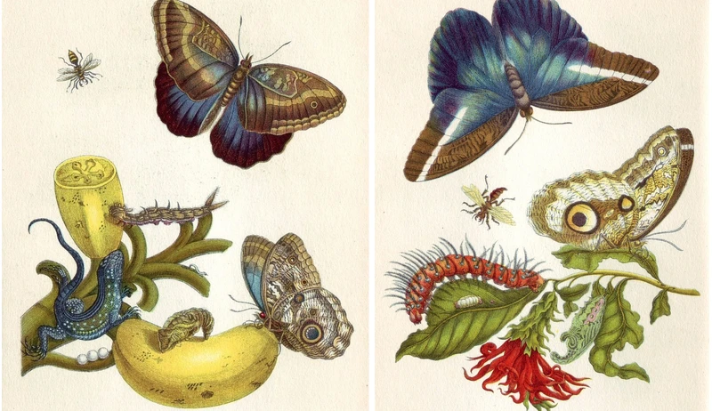 Scientists or artists? Part I
