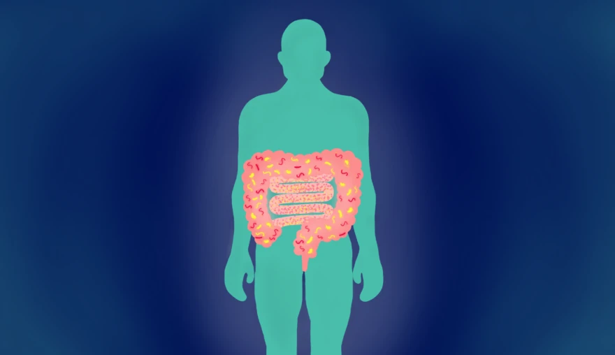 Een taak voor kleine transplantaties