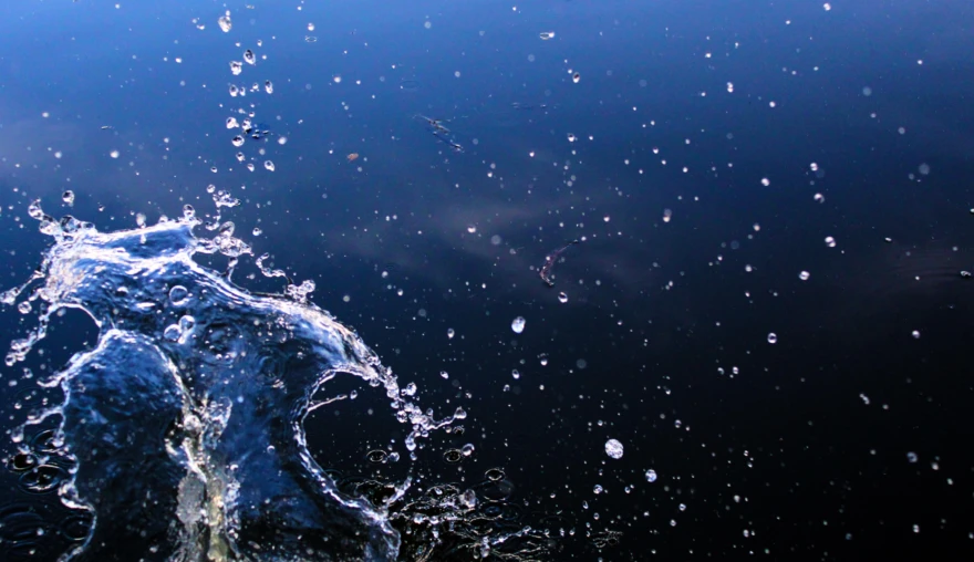 Water’s Wonders 