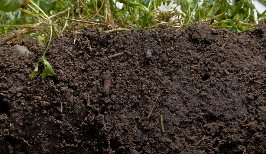 De geheimen van grond - Hoe het antwoord op sommige problemen zich recht onder onze voeten bevindt