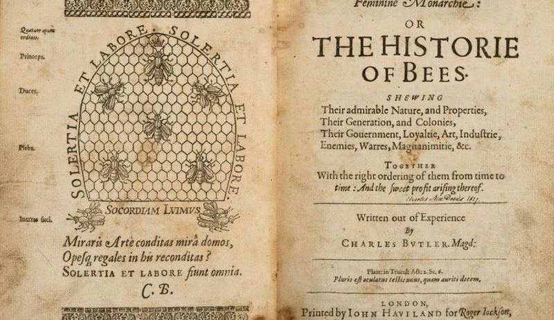 The bees' society