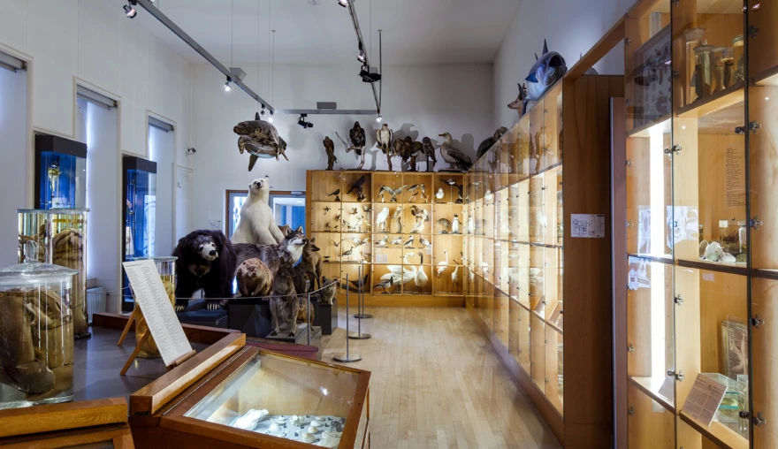 ‘Natuurschatten. Natuurhistorische collecties in Nederlandse Musea’ van Fred de Ruiter