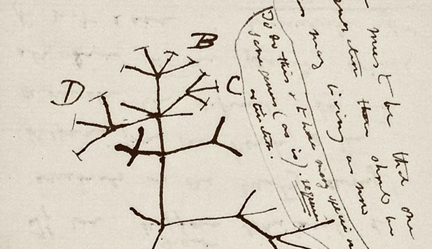 Darwin’s “missing ink”