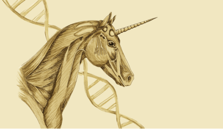 Toveren met CRISPR-Cas: Een eenhoorn knutselen met DNA