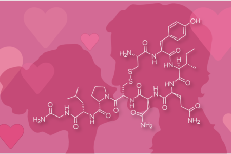 Is oxytocine alles dat we nodig hebben?