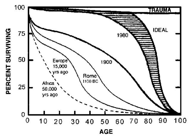 Percent survival curve for humans at different times in history with varying